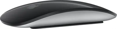 A black and silver Apple Magic Mouse is shown from a side angle against a white background.