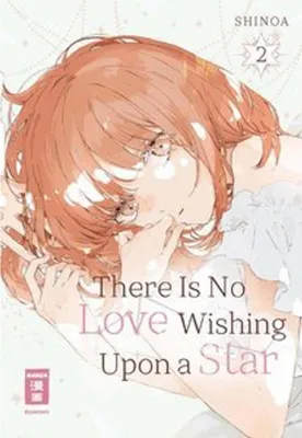Produktbild von There Is No Love Wishing Upon a Star 02