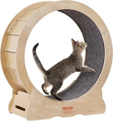 Produktbild von Famanu Katzenrad - Katzen Hometrainer - Ø 65 cm - Holz