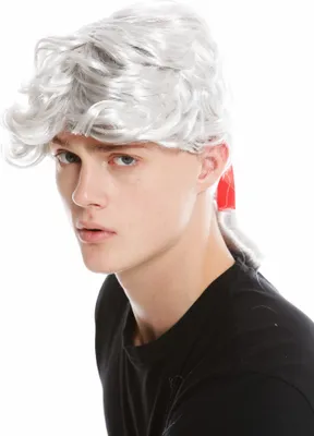 Produktbild von WIG ME UP Perücke Barock Poet Adliger Grau Zopf 7057-PC309