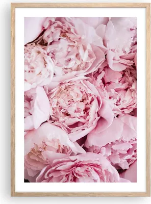 Produktbild von Gerahmtes Poster - Rahmen in heller Eiche - Blumenstrauß Blumen Rosa - 50x70 cm - Wand Bild - Wanddeko - Wandbilder - Kunstposter - Wandposter - Bilderrahmen - Bilder - Kunstdruck - P2NPA50x70-5001