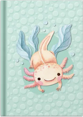 Produktbild von Notizbuch Axolotl - A5 Hardcover 96 Blatt kariert. Packung mit 4 Stück