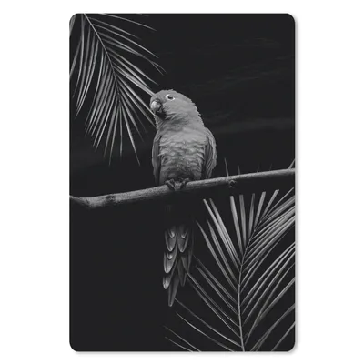 Produktbild von MuchoWow® Mauspad Mousepad Ein Papagei sitzt auf einem Zweig vor einem schwarzen Hintergrund - schwarz-weiß 40x60 cm - Mousepads - Maus Mat - Pad - Mausunterlage - Schreibtisch Accesoire