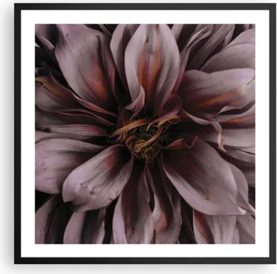 Produktbild von Gerahmtes Poster - Schwarzer Rahmen - Blumenstrauß Künstlerisch Blume - 60x60 cm - Wand Bild - Wanddeko - Wandbilder - Kunstposter - Wandposter - Bilderrahmen - Bilder - Kunstdruck - P2BAC60x60-5019