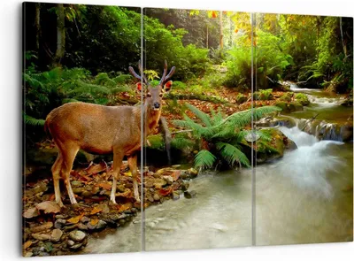 Produktbild von Bild auf Leinwand - Leinwandbild - Herbst berg strom landschaft - 105x70cm - Wand Bild - Wanddeko - Leinwanddruck - Bilder - Kunstdruck - Wanddekoration - Leinwand bilder - Wandkunst - CE105x70-2243