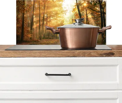 Obrázok produktu pre KitchenYeah® splashback kuchyňa - kuchynský splashback - ochrana steny sporáka a drezu - les - jeseň - slnko - krajina - príroda - stromy - lístie 60x30 - hliníkový dibond (alternatíva k sklenenému splashbacku)
