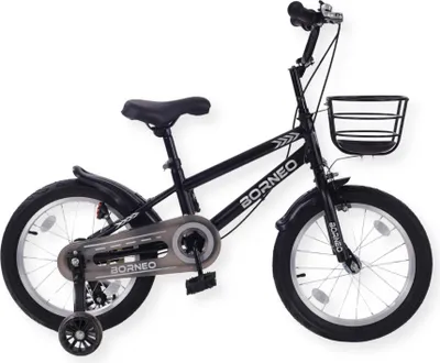 Image de Buxibo - Vélo d'enfant pour garçons - Borneo - 16 pouces - Noir