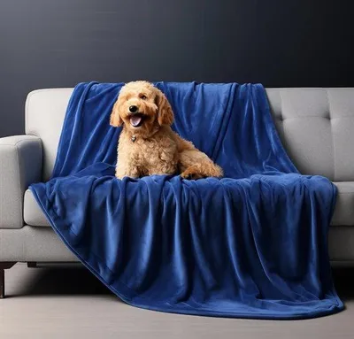 Image de Couverture réversible imperméable Famanu, bleu foncé/vert foncé, 102x152 cm