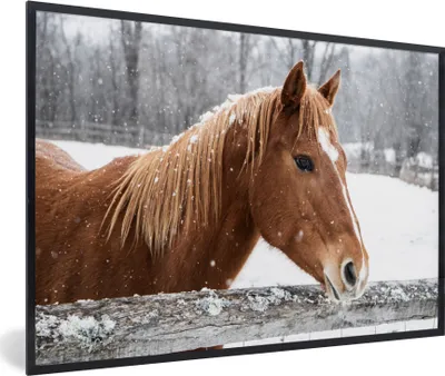 Produktbild von MuchoWow® MuchoWow® Gerahmtes Poster Pferd - Schneeflocke - Zaun - Winter 60x40 cm - Poster mit zchwarzem Bilderrahmen - Printing - Wanddeko Schlafzimmer