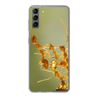 Produktbild von MuchoWow® Handyhülle Schutzhülle Hülle für Samsung Galaxy S21 Plus Ameisen - Orange - Tiere Silikon Softcase Handy Hülle - Handy-Tasche