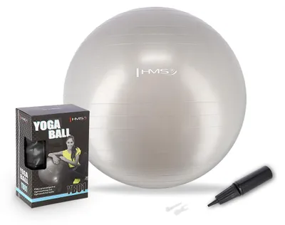 Zdjęcie produktu dla Yb01 New 65Cm Gray Piłka Gimnastyczna Hms