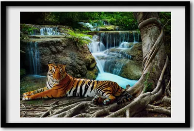 Produktbild von Bild 60x40 MDF-Rahmen, Wandkunst Tiger Wasserfall