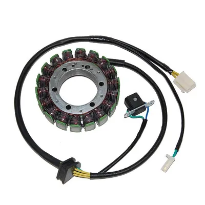 Image de Stator ElectroSport ESG077 pour alternateur pour VX 800