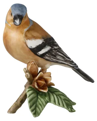 Produktbild von Goebel Buchfink (Figur, Biskuitporzellan) | Art.-Nr. 38473321 | EAN 4005169363283