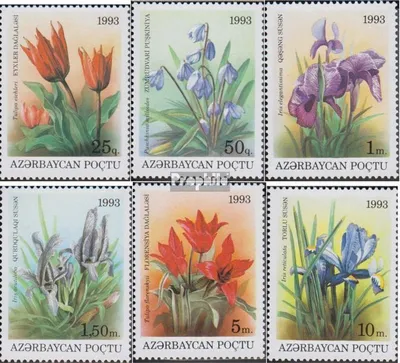 Produktbild von Briefmarken Aserbaidschan 1993 Mi 91-96 (kompl.Ausg.) postfrisch Einheimische Flora