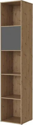 Produktbild von SMARTBett Standregal, Würfelregal  für Wohnzimmer, Kinderzimmer, Schlafzimmer und Büro |  Regal Wildeiche + 1 Tür Anthrazit