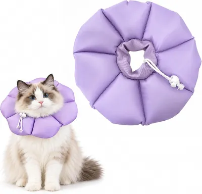 Productafbeelding van Halsband voor katten met verstelbare beschermkraag, maat S, waterafstotend