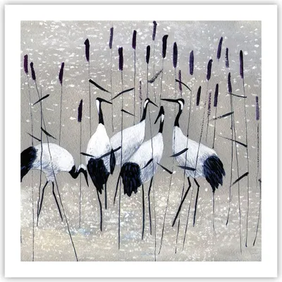 Produktbild von Poster - Poster ohne Rahmen - Vogel Natur Wasser - 60x60 cm - Wand Bild - Wanddeko - Wandbilder - Kunstposter - Wandposter - Bilder - Kunstdruck - Wanddekoration - Wandbild - P2XAC60x60-3687
