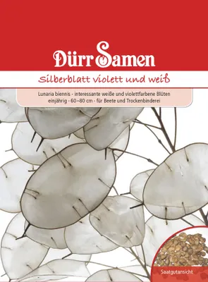 Artikelbild 1 von 'Silberblatt violett und weiß' aus der Kategorie Blumensamen