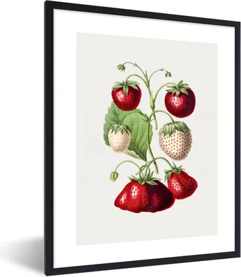 Produktbild von MuchoWow® Gerahmtes Poster Erdbeere - Lebensmittel - Obst 60x80 cm - Poster mit Schwarzem Bilderrahmen Wandposter Rahmen Foto Bilder - Premium - Wanddeko Wohnzimmer