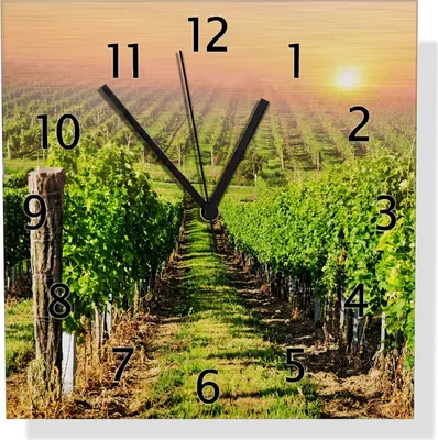 Produktbild von Wallario Design Wanduhr Weinberg mit untergehender Sonne aus Aluverbund, Größe 30 x 30 cm