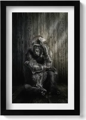 Produktbild von Ein Affe, der im Schatten grübelt– Wandbild mit Rahmen – Gerahmtes Bild  – Wanddekoration – 20x30 cm – Schwarz