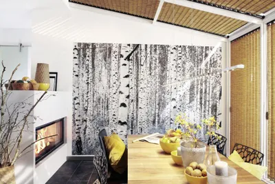 Produktbild von Komar Vlies Fototapete "Woods", schwarz/weiß, 400 x 270 cm