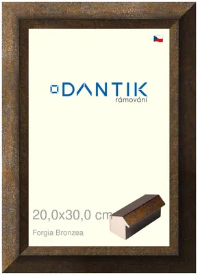 Zdjęcie produktu dla Ramka DANTIK 20x30 | Forgia Bronzea (szkło przezroczyste)