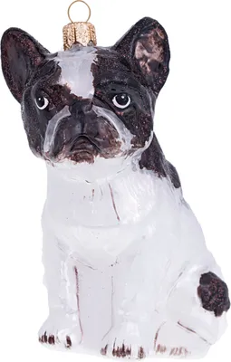 Produktbild von Christbaumschmuck Glas Französische Bulldogge 10cm schwarz / weiß