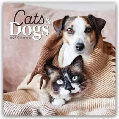Produktbild von Cats and Dogs - Katzen und Hunde 2027 - 16-Monatskalender
