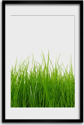 Produktbild von Bild - Bilderrahmen - 40 cm x 60 cm - MDF - Rahmen - Wandkunst - Grünes Gras