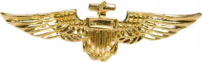 Produktbild von Goldenes Pilotenabzeichen als Kostümzubehör