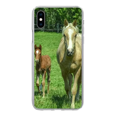 Produktbild von MuchoWow® Handyhülle Schutzhülle Hülle für iPhone Xs Pferd - Fohlen - Tiere Silikon Softcase Handy Hülle - Handytasche