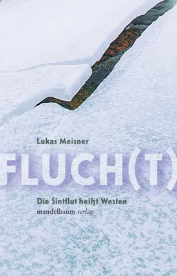 Produktbild von Fluch(t)