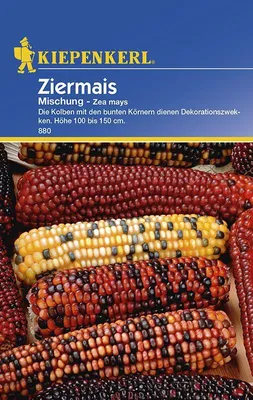 Produktbild von Kiepenkerl Ziermaissamen Mischung