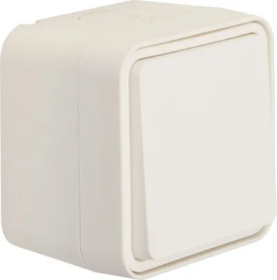 Obrázek produktu pro Berker 50453522, Kolébkový spínač, Termoplastik, Matný, Bílá, IP55, IK05