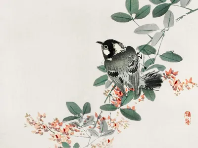 Zdjęcie produktu dla Plakat 40x30cm Black-Capped Chickadee,  Kōno Bairei Vintage do Salonu