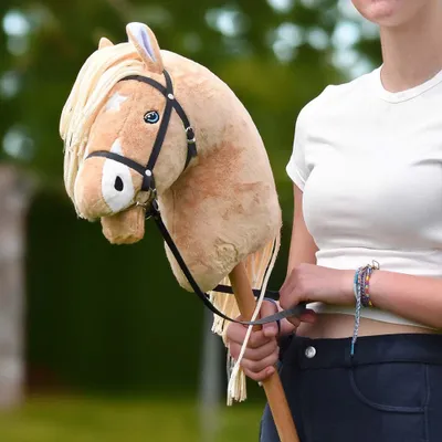 Image de Hobby Horse Palomino quater horse - Taille A3