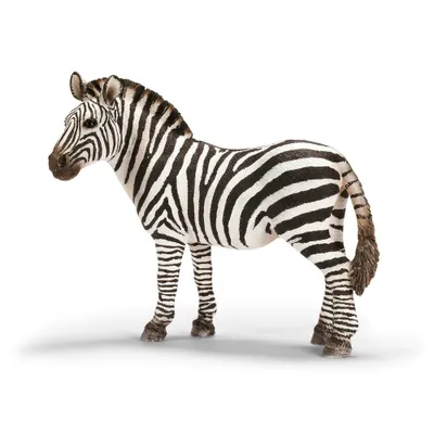 Produktbild von schleich WILD LIFE Zebra Stute, 3 Jahr(e), Safari, Wild animals / adventure toys, Mehrfarbig, Kunststoff, 1 Stück(e)