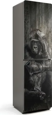 Produktbild von Gorilla in Gedanken – Magnetische Kühlschrank Abdeckung – Dekorfolie magnetisch Küche – Kühlschrank Magnet Deko – selbstklebende Magnettafel – Magnetfolie für Kühlschranktür – 60x205 cm