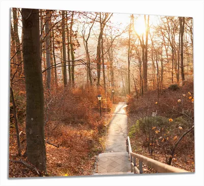 Produktbild von Wallario Herdabdeckplatte aus Glas, Größe 60 x 52 cm 2-teilig, Motiv Weg in den Sonnenuntergang
