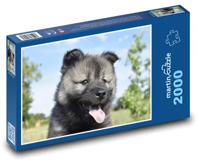 Obrázok produktu pre martinpuzzle - Puzzle 2000 - Štena eurázskej psíkovitej