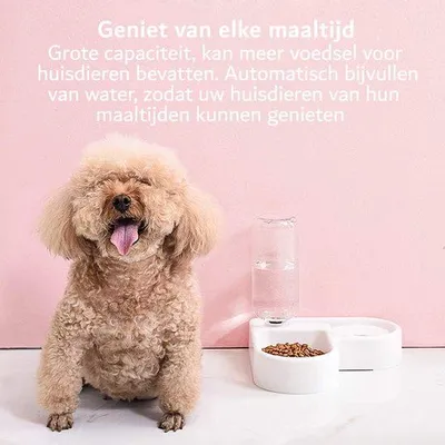 Image de Distributeur automatique de nourriture pour animaux - 2 en 1 - 500 ml - Blanc