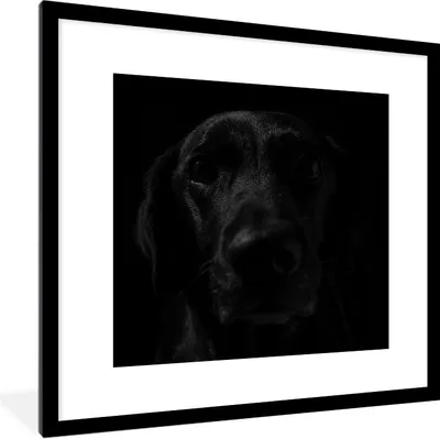 Produktbild von MuchoWow® Gerahmtes Poster Hund - Haustier - Schwarz 40x40 cm - Poster mit Schwarzem Bilderrahmen Wandposter Rahmen Foto Bilder - Poster - Plakat im Rahmen