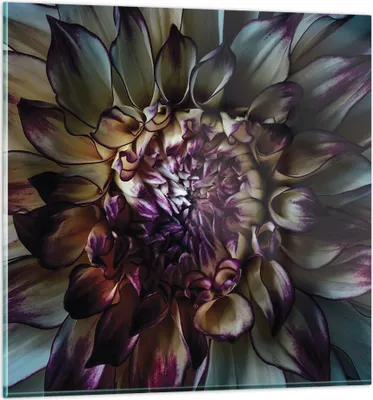 Produktbild von Bilder auf glas - Einteilig - Blätter Agave Blume - 70x70cm - Glasbilder - Wandbilder - Bilder - zum Aufhängen bereit - Wanddekoration aus Glas - Glas Bilder - Wandbild auf Glas - GAC70x70-5122
