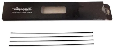 Immagine prodotto di Campagnolo Zonda Posteriore Destra Raggi 4 unità Nero 282 mm Nero 282 mm
