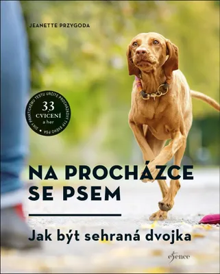 Immagine prodotto di Na procházce se psem (Przygoda Jeanette)