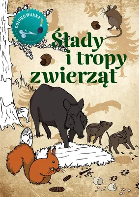 Produktbild von Ślady i tropy zwierząt. Kolorowanka
