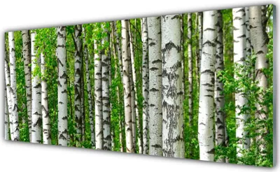 Produktbild von Acrylglasbilder 125x50 Wandbild Druck Wald Natur