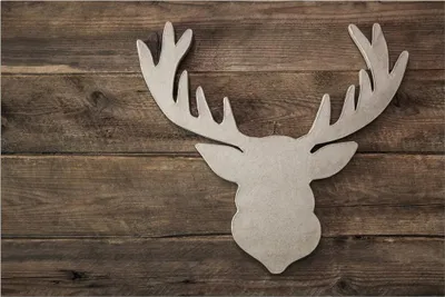 Produktbild von Türmatte Hirsch Landhaus in 40x60 cm als Fussabtreter